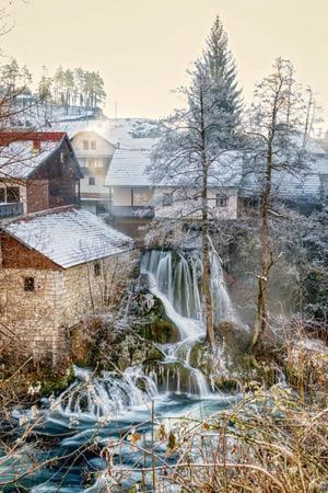 Apartmant Borna *